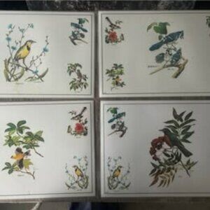 Perfect condition vintage Audubon prints/matts